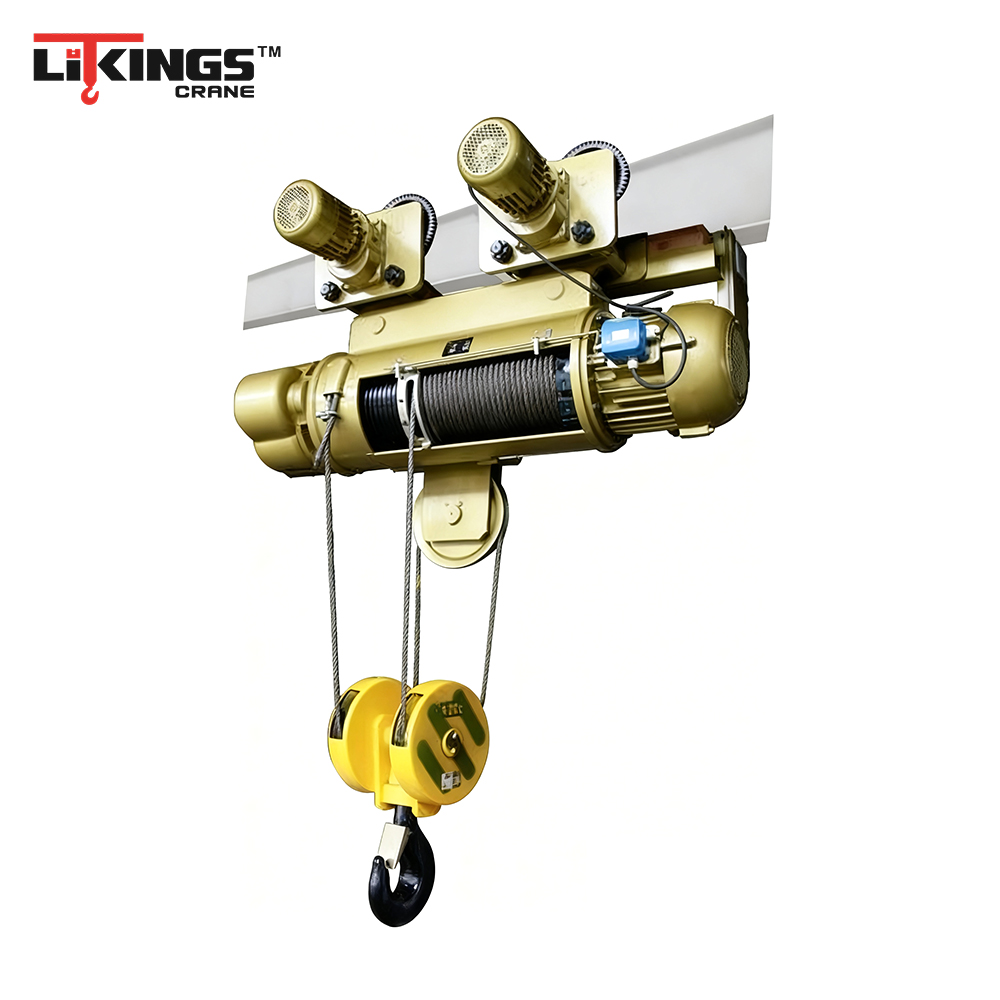 2 Ton 4 Ton 8 Ton 10 Ton Electric Wire Rope Hoist Remote Control Double Speed Max Lifting Height 100 M for Sale